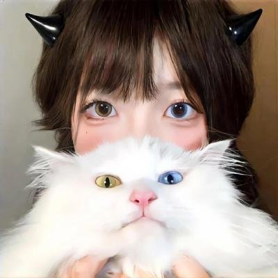 家鸭与野鸭的投币式置物柜